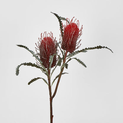 Red Banksia Spray