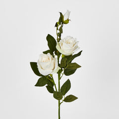 Cream White Rose Spray