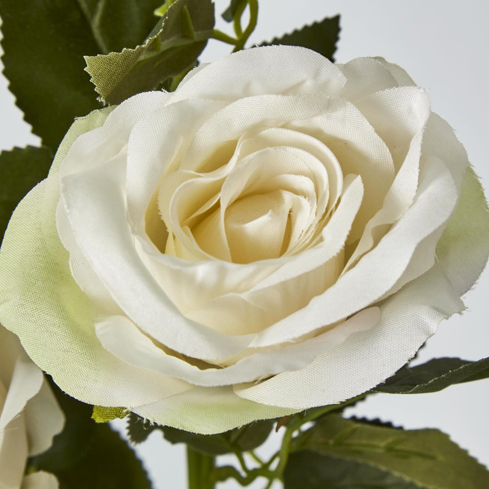 Cream White Rose Spray