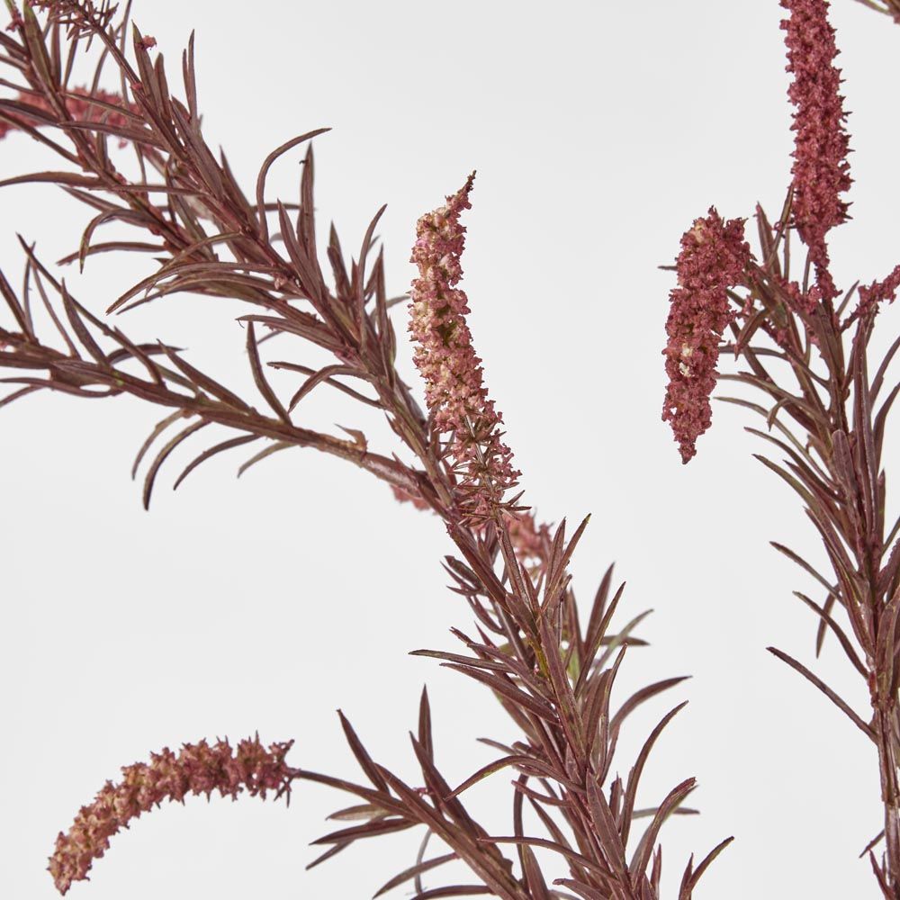 Lavender Purple Amaranthus Spray