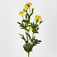 Yellow Marigold Spray 6 Flowers 3 Buds