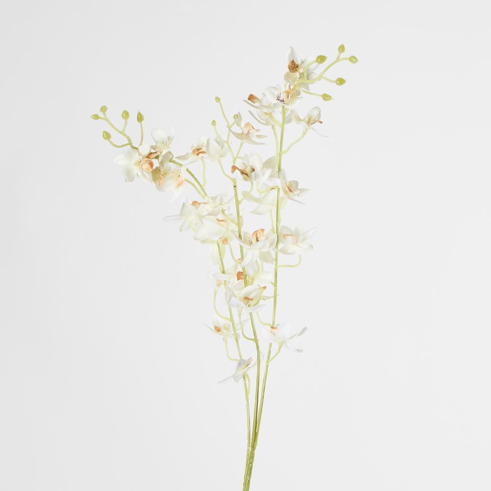 White Dendrobium Spray