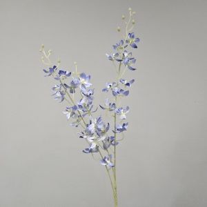 Blue Dendrobium Spray