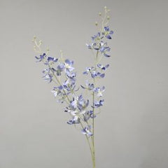 Blue Dendrobium Spray