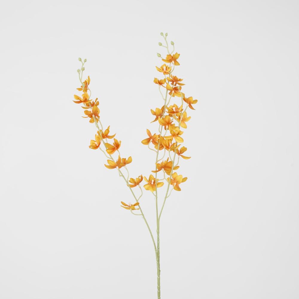 Orange Dendrobium Spray