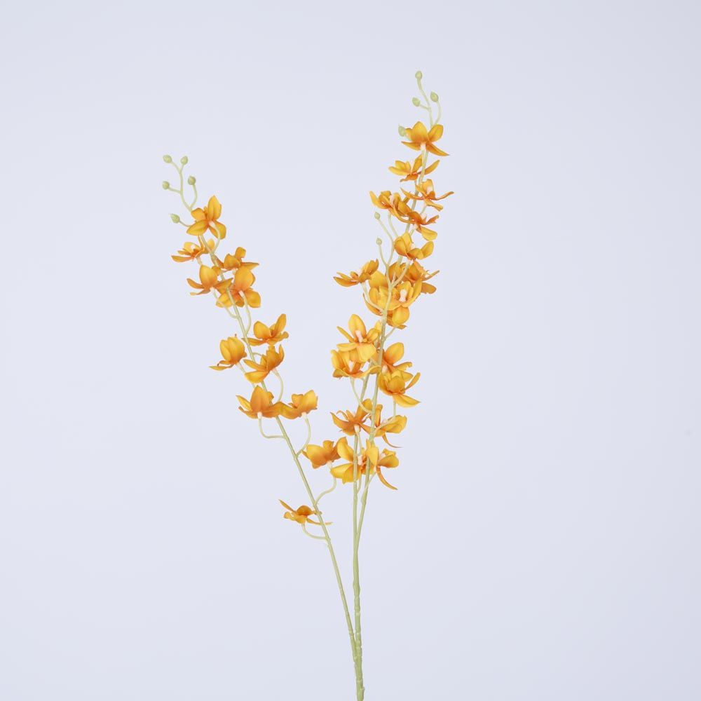 Orange Dendrobium Spray