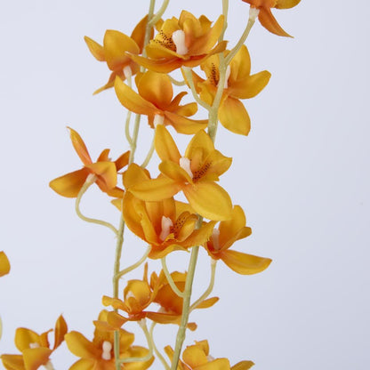 Orange Dendrobium Spray