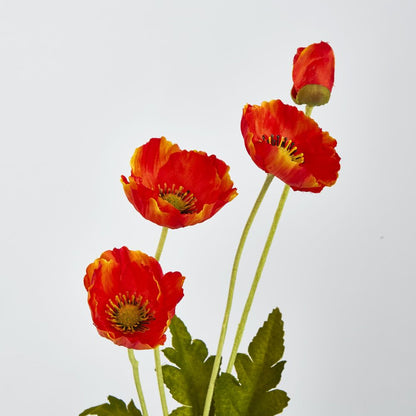 Orange Poppy Spray 3 Flowers 1 Bud