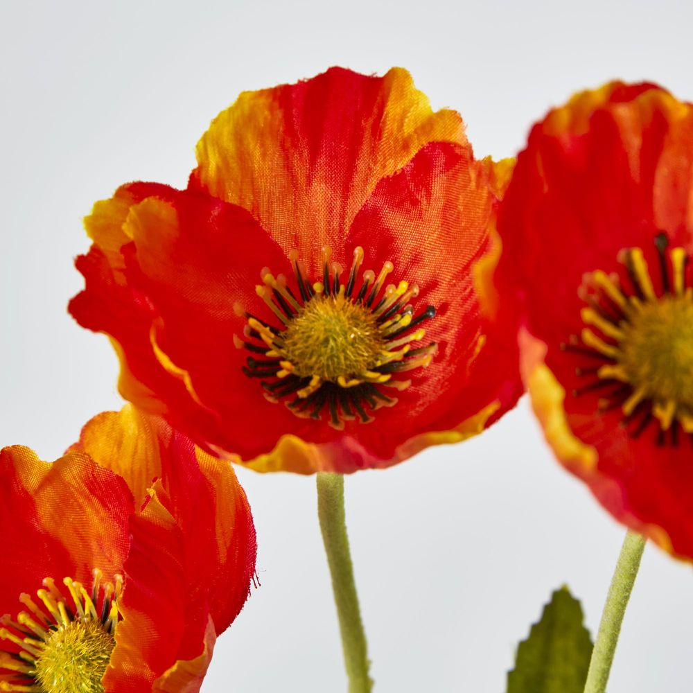 Orange Poppy Spray 3 Flowers 1 Bud