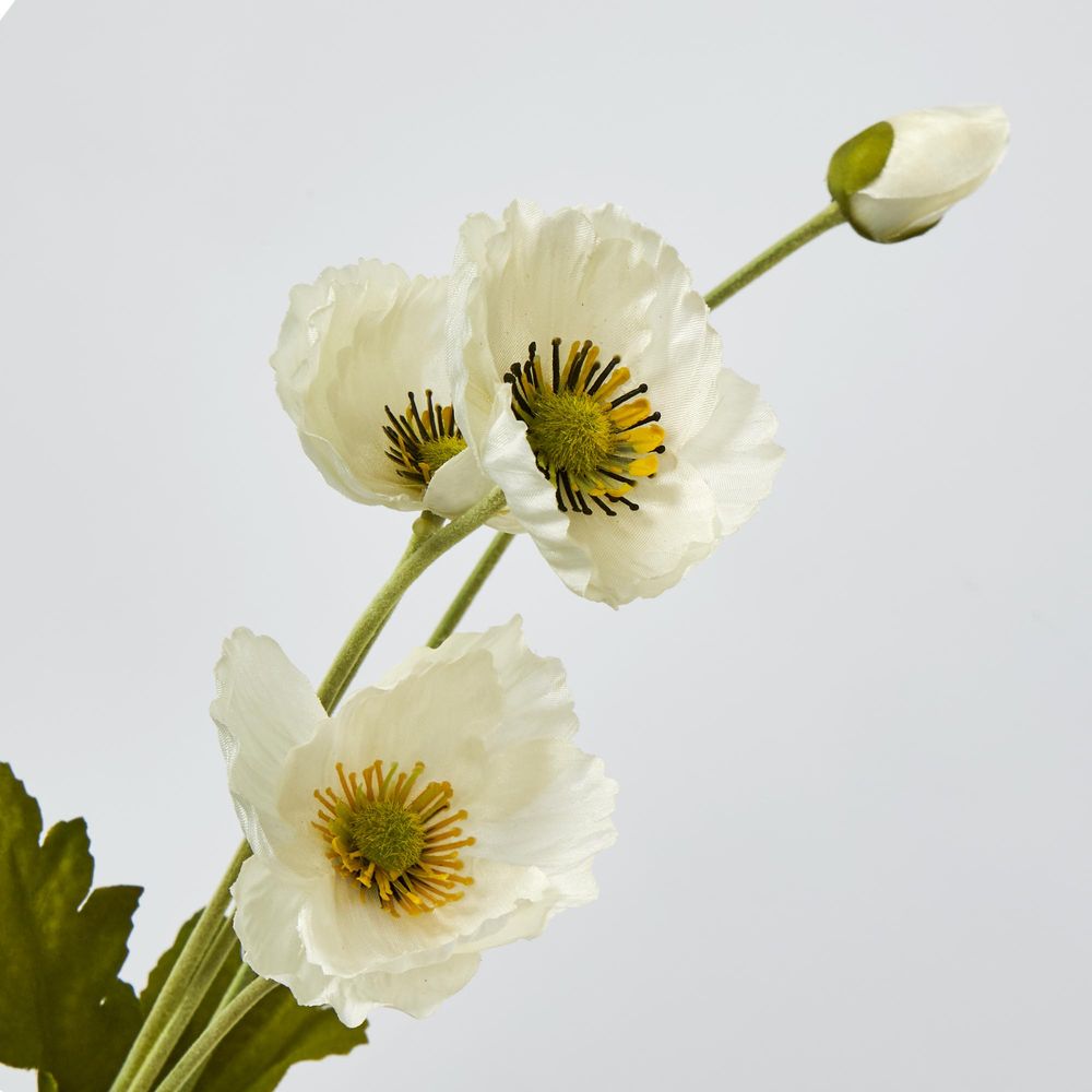 White Poppy Spray 3 Flowers 1 Bud