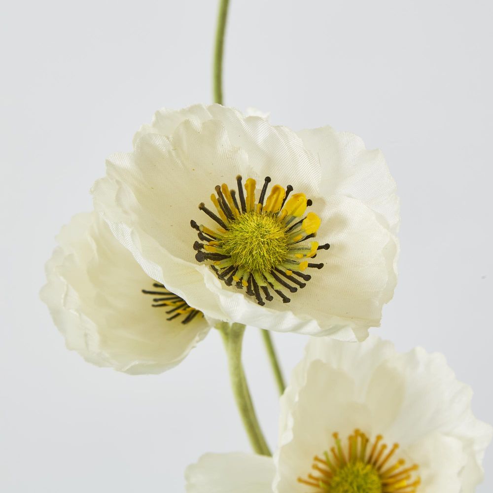 White Poppy Spray 3 Flowers 1 Bud