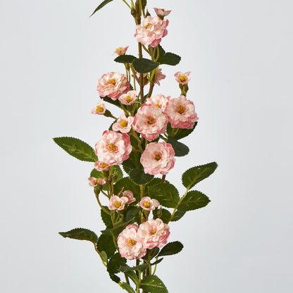 Pink Burma Rose Spray