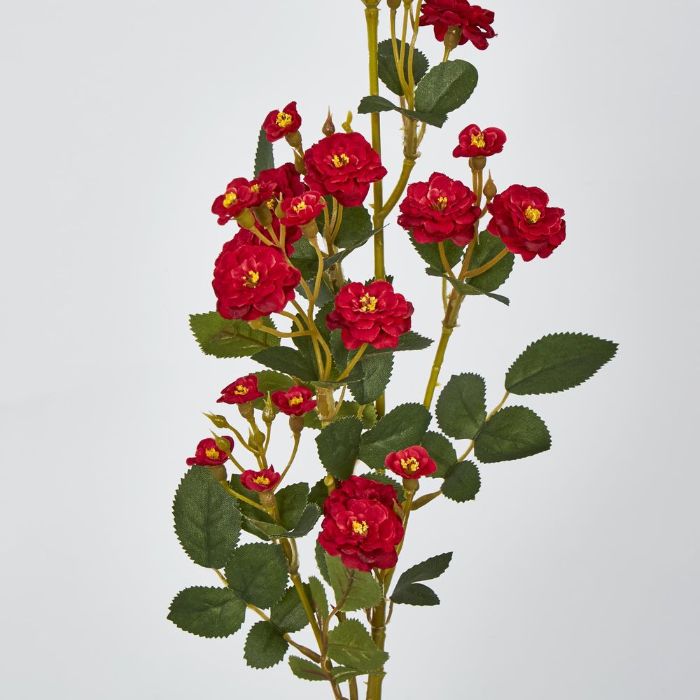 Red Burma Rose Spray