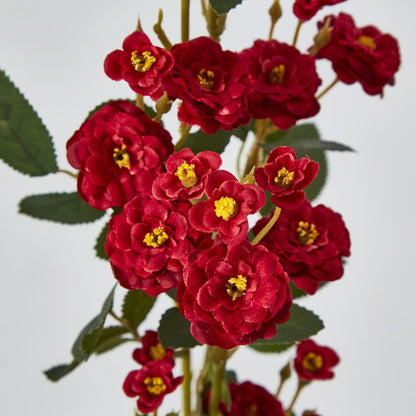 Red Burma Rose Spray