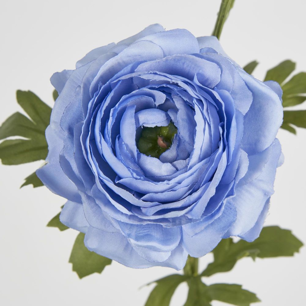 Slate Blue Ranunculus Spray X 3