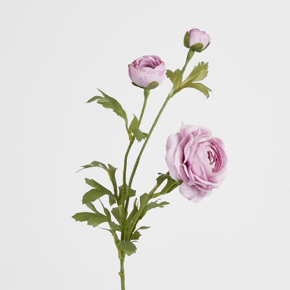 Dusty Lavender Ranunculus Spray X 3