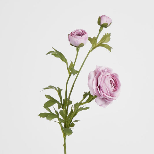 Dusty Lavender Ranunculus Spray X 3