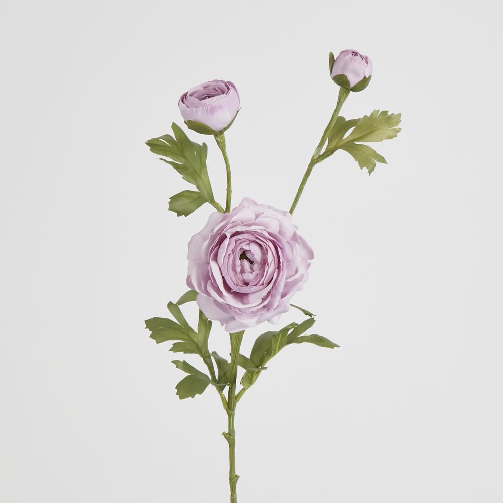 Dusty Lavender Ranunculus Spray X 3