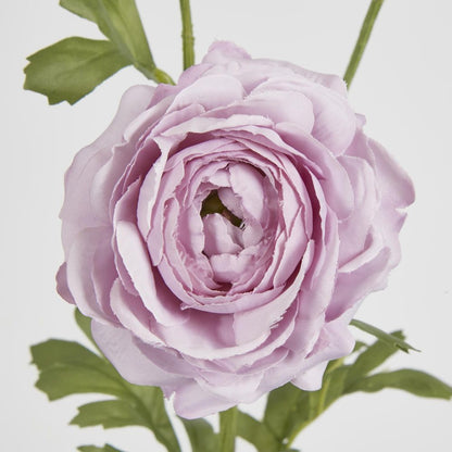 Dusty Lavender Ranunculus Spray X 3