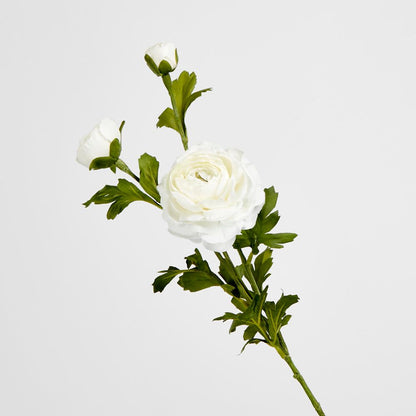 White Ranunculus Spray X 3