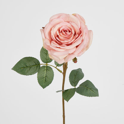 Dusty Pink Rose 63Cm