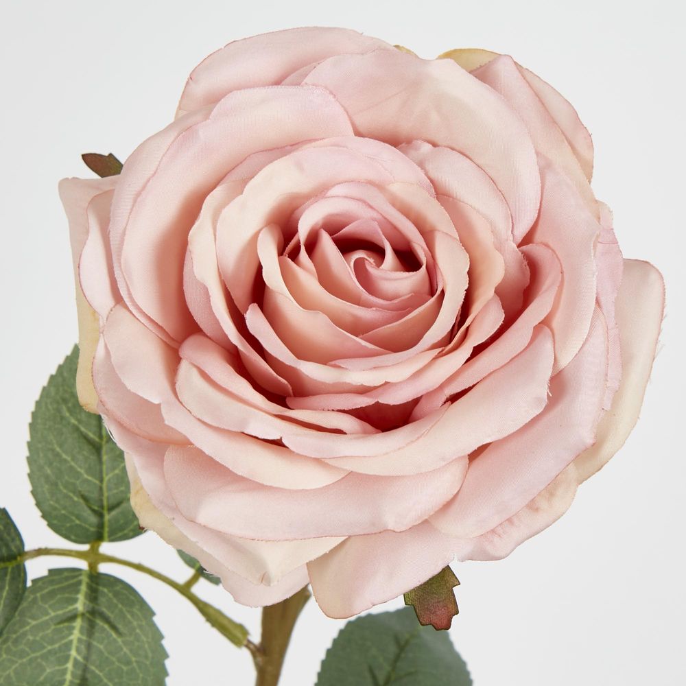 Dusty Pink Rose 63Cm