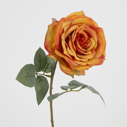 Yellow Gold Rose 63Cm