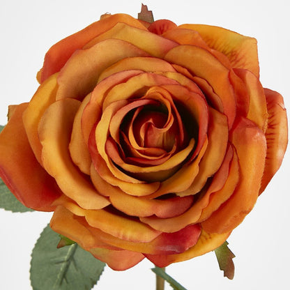 Yellow Gold Rose 63Cm