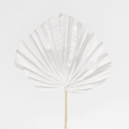 White Palm Leaf