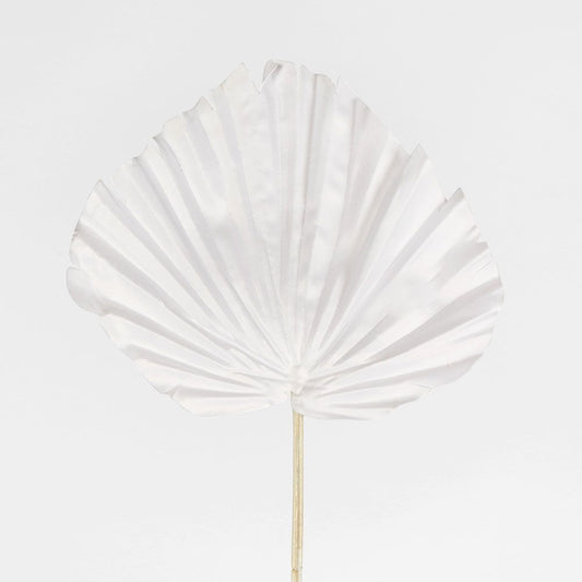 White Palm Leaf