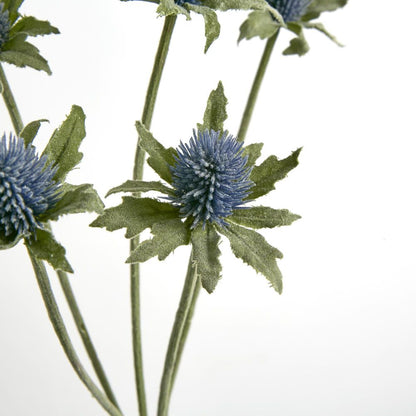 Dusty Blue Thistle Spray X 5