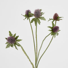 Purple Thistle Spray X 5