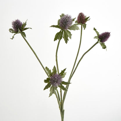 Purple Thistle Spray X 5