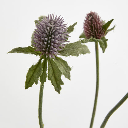 Purple Thistle Spray X 5