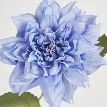 62Cm Blue Dahlia