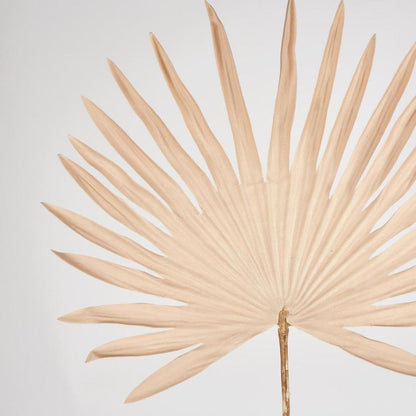 Sand Sun Palm