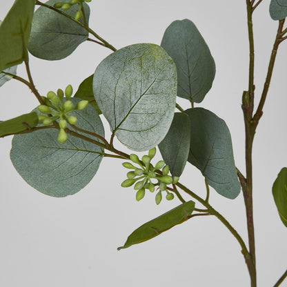 87Cm Green Eucalyptus With Seed