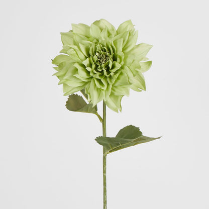 62Cm Green Dahlia