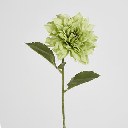 62Cm Green Dahlia