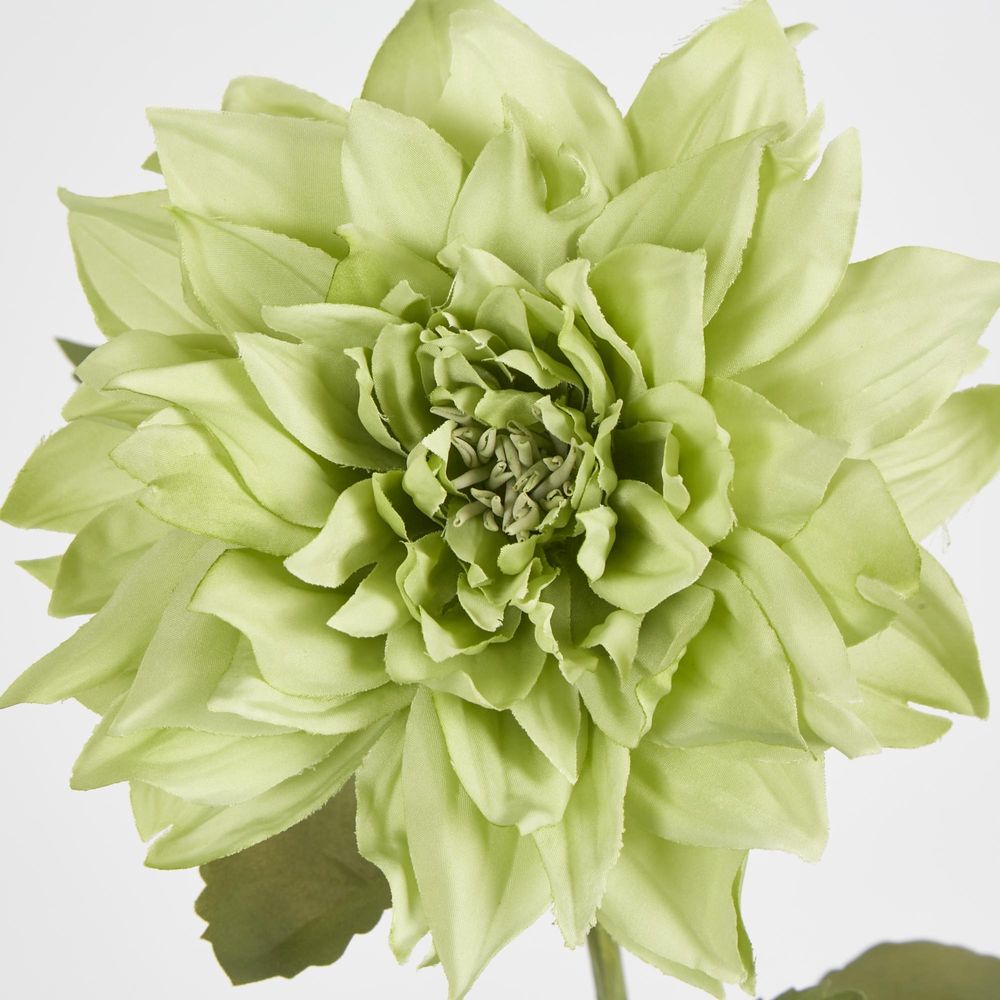 62Cm Green Dahlia