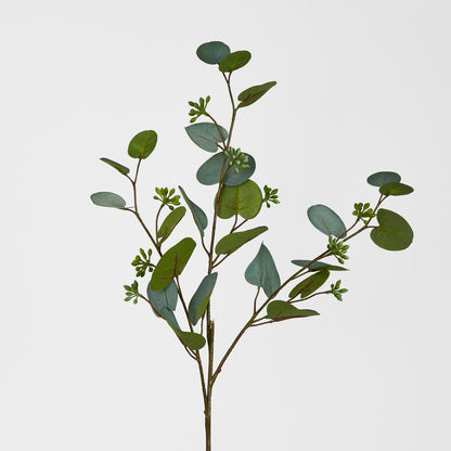 71Cm Grey Green Eucalyptus With Seed