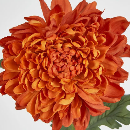 76Cm Chrysanthemum