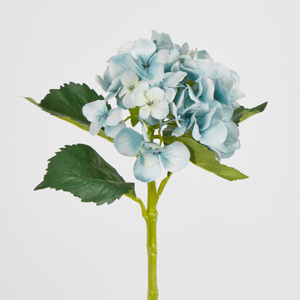 Slate Blue Hydrangea