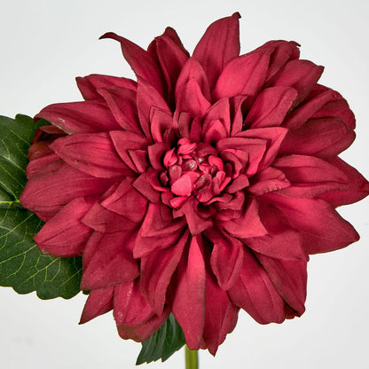 Red Dahlia 28Cm