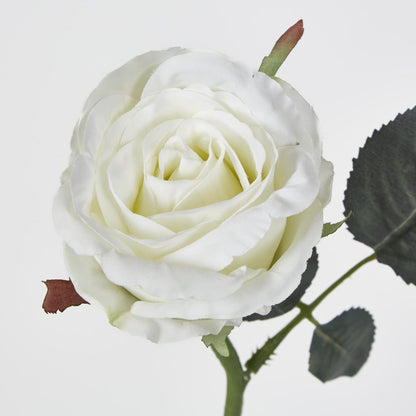 Jessica Rose Bud 31Cm White