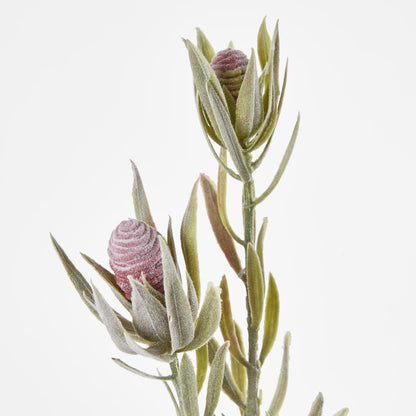 Protea Spray With Dark Green Leaves 77Cm Burgundy