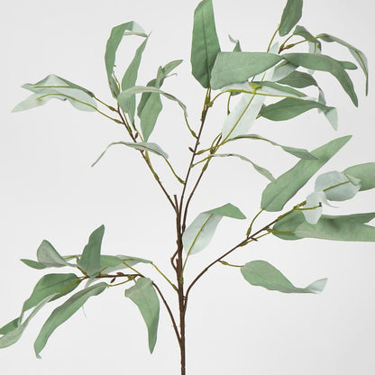 98Cm Grey Eucalyptus Saligna Branch