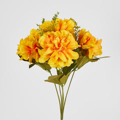 Gold Marigold Bush X 5