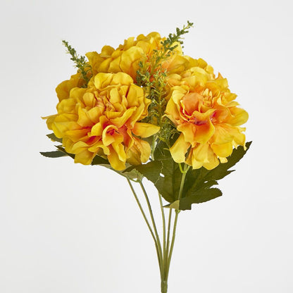 Gold Marigold Bush X 5