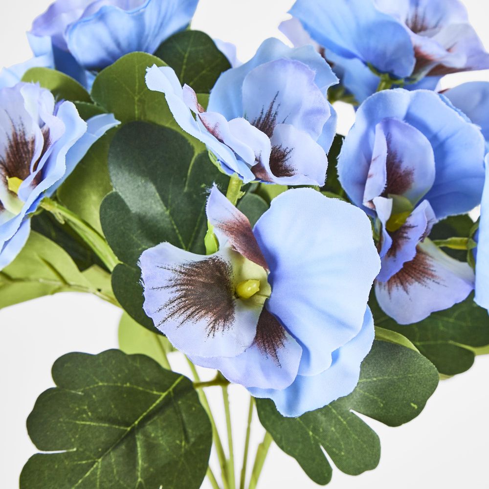 Blue Pansy Bush 32Cm